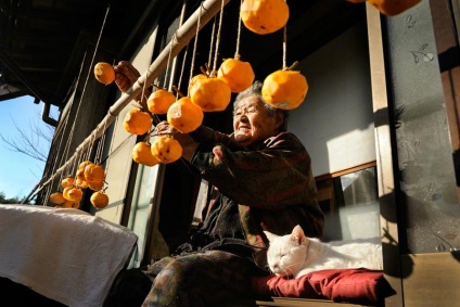 Big Mama Misáelt és macska Fukumaru - február 21, 2016 - belső nézet (MISAO) Big Mama Misáelt és macska Fukumaru - február 21, 2016 - belső nézet