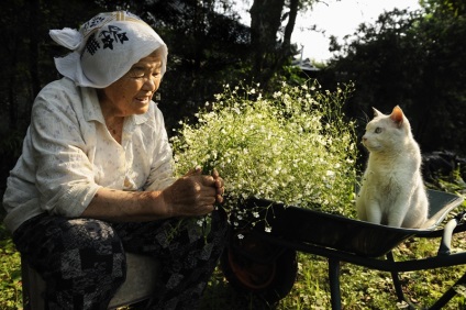 Big Mama Misao și pisica Fukumaru - 21 februarie 2016 - vedere interioară