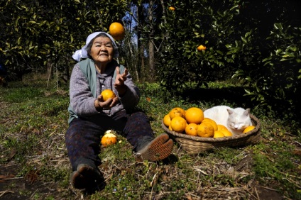 Big Mama Misao și pisica Fukumaru - 21 februarie 2016 - vedere interioară