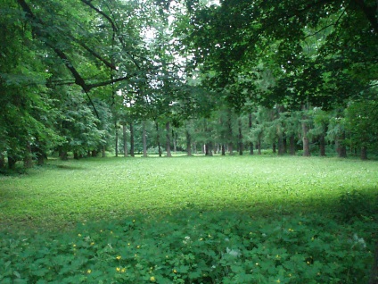 Căsătoria în Muzeul Palatului Bogoroditsky - Muzeul și Parcul Palatului Bogoroditsky