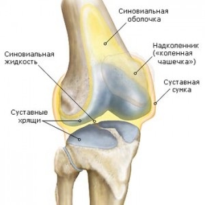 Bursita, tratamentul sinovitisului, prevenirea și fizioterapia