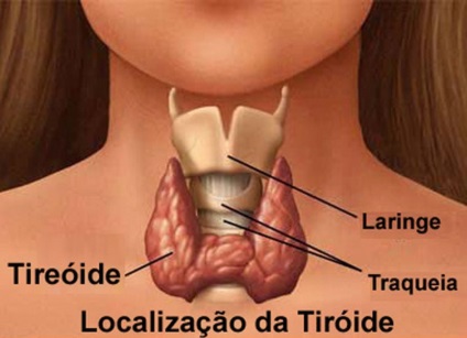 Ce trebuie făcut după un tratament cu iod radioactiv al glandei tiroide - o imagine a lumii