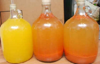 Ce poate fi preparat din rețete de persimmon pentru mâncăruri și preparate