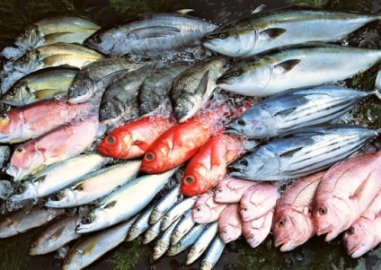 Ce este mai util este să pescuiască pește sau carne în valoarea nutritivă