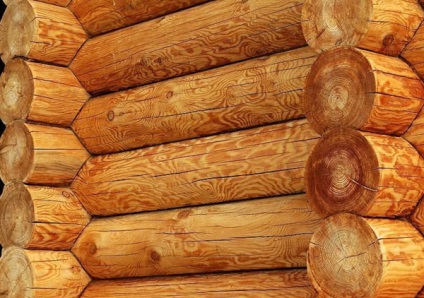 Mi egy orosz fakitermelés, információs portál világ fából - faházak és faipari termékek