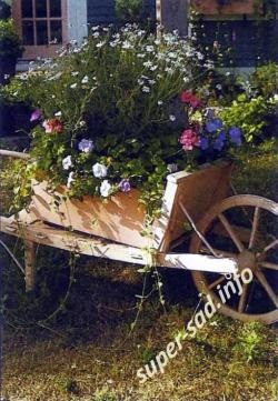O grădină de flori într-un cărucior, o grădină superbă