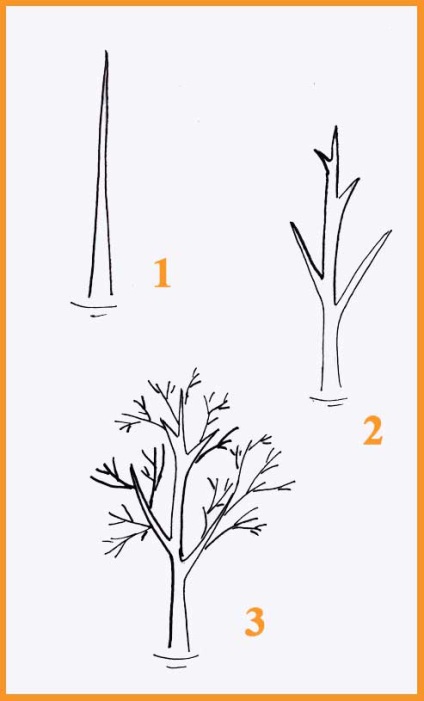 Copaci în creion pas cu pas - cum să atragă copaci în creion pas cu pas