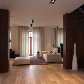 Design interior al apartament Kiev