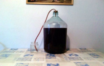Savurați vinul de afine pentru o rețetă simplă