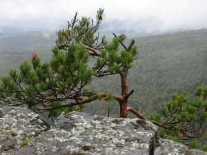 Mergem de la Ufa la Aigir fără a petrece noaptea, operatorul turistic național Ural batyr