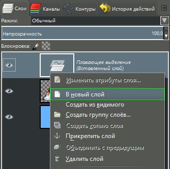 Efectul unei fotografii rupte în gimp