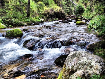 Excursie prin Zakopane - un patrimoniu cultural pe care îl puteți vizita - monumente, muzee, temple, palate și teatre