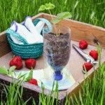 Tunderea anuală a căpșunilor după colectare în fotografie de vară sau toamnă, zi de reședință de vară