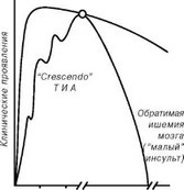 Fiziologia și patofiziologia circulației cerebrale