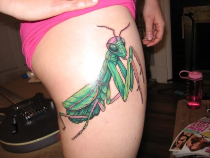 Fotografie și semnificația unui tatuaj mantis