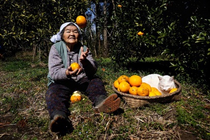 Fotografia săptămânii, bunica japoneză a lui Misa și pisica ei fukumar, blogul interpretului