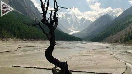 Moartea lacului Maash, bunicul Altai