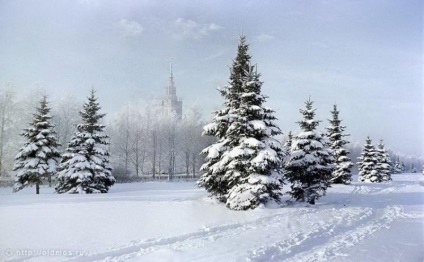 A főépületben a Moszkvai Állami történelem épület