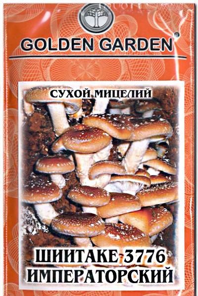 Mycelium miceliu