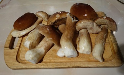 Ciuperci din reteta de ciuperci proaspete cu fotografie