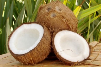 Informații interesante despre nucă de cocos și despre utilizarea acestuia