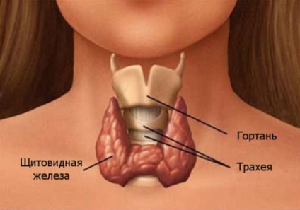 Dizabilitatea în cancerul tiroidian - cum să trăim pacienții cu acest diagnostic