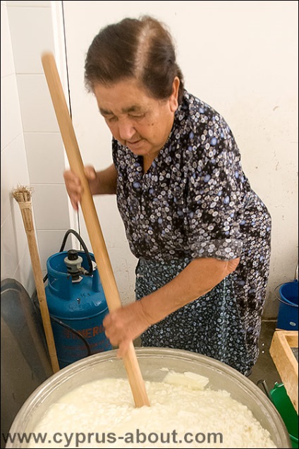 Cum se prepară halumi în sate sau o vizită la elpida bunicii