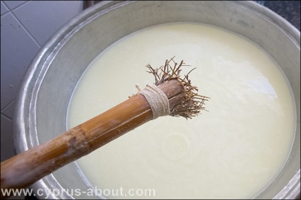 Cum se prepară halumi în sate sau o vizită la elpida bunicii