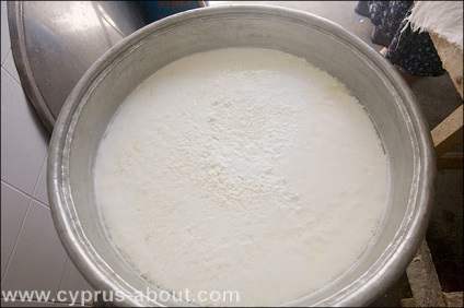 Főzni halloumi vidéken, vagy oda látogató nagymama elpidy (halloumi) Főzni halloumi vidéken, vagy oda látogató nagymama elpidy
