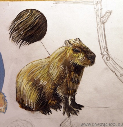 Cum de a desena capybaru