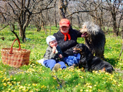 Cum să înveți un copil să aibă grijă de cei dragi și de dragoste pentru natură