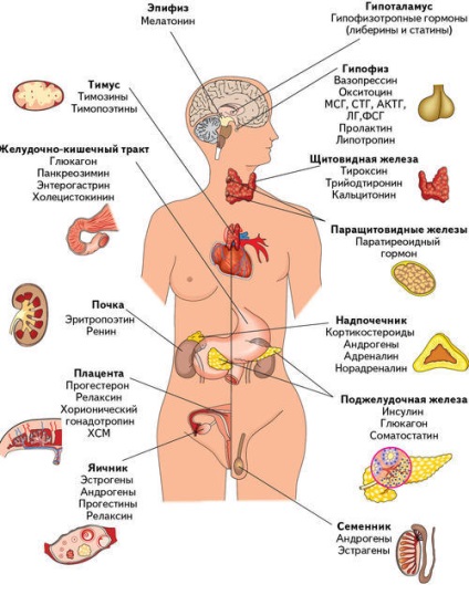 Cum lipsa hormonilor feminini afectează sănătatea și starea de spirit