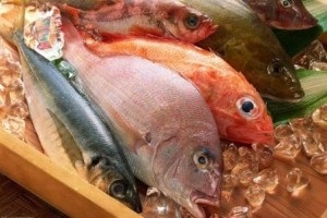 Cum de a deschide o afacere profitabilă de pește de la zero
