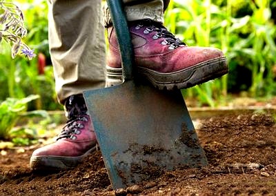 Cum să îmbunătățiți și să restaurați solul