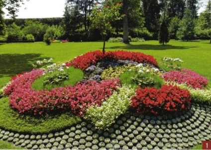 Cum să plantezi și să așezi cele mai frumoase flori în grădină