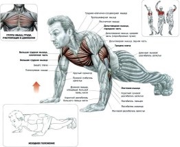 Cum să faceți leagăn în mod corespunzător acasă - tipuri de exerciții