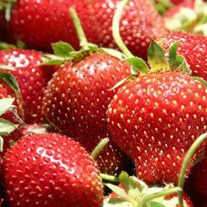 Cum să plantezi căpșunile