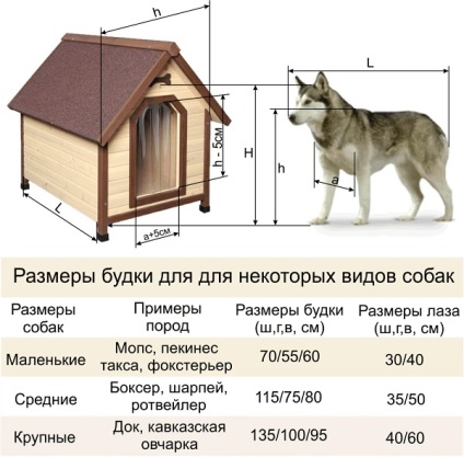 Cum să faci o cabină pentru un câine cu mâinile tale, desene, acoperișuri, izolare