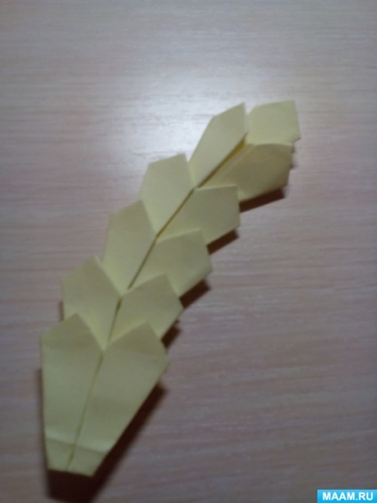 Cum se fac creșteri de grâu din hârtie - o clasă de masterat de 