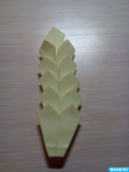Cum se fac creșteri de grâu din hârtie - o clasă de masterat de 