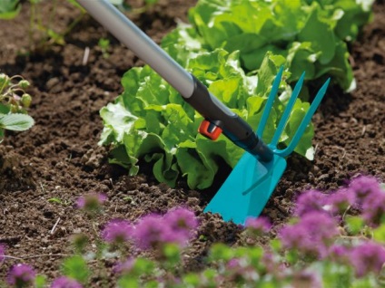 Cum să păstrați umiditatea în grădină când seceta