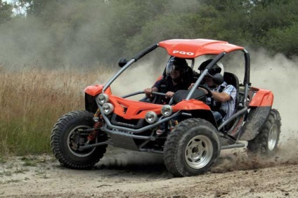 Cum de a alege un buggy bun