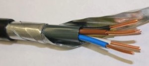 Cum se protejează firele și cablurile de rozătoare