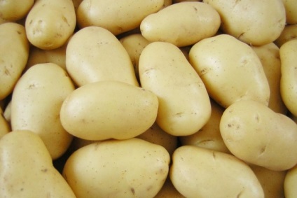 Cartofi - Grenada Descrierea varietății, fotografie, caracteristicile cartofului, plantarea și îngrijirea