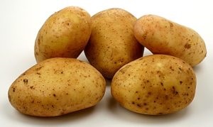 Burgonya - Grenada fajta leírása, fényképek, funkciók burgonya ültetése és gondozása (jellemzők) Burgonya - Grenada a fajta leírását, fotók, funkciók burgonya ültetése és gondozása