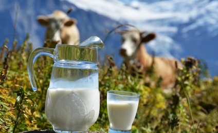 Joghurt és tej -, hogy a közös és miben különböznek, hogy mi a különbség (összesen) Joghurt és tej -, hogy a közös és miben különböznek, hogy mi a különbség