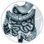 Lavajul intestinal