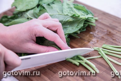 Kish csirkével és spenóttal () Quiche csirkével és spenóttal