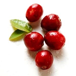 Cranberry și proprietățile sale medicinale