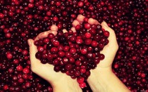 Cranberry împotriva cancerului - natura împotriva cancerului